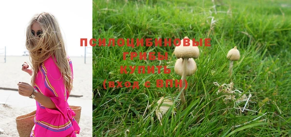 мет Вяземский
