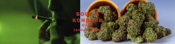 гидра Вязники