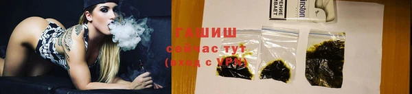 гидра Вязники