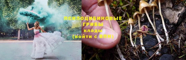 мет Вяземский