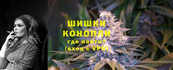гидра Вязники